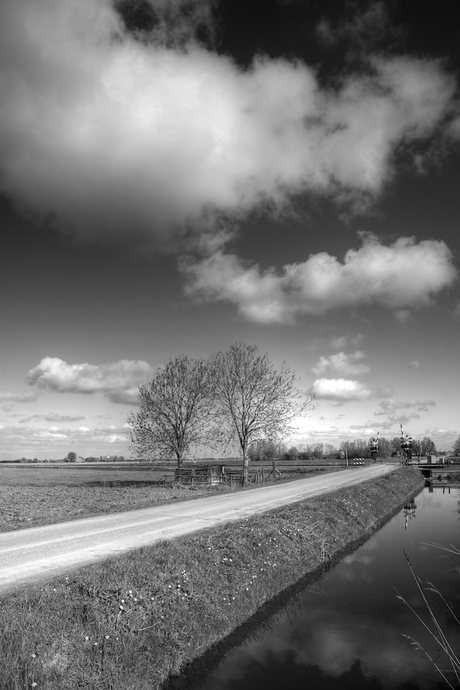 Polder