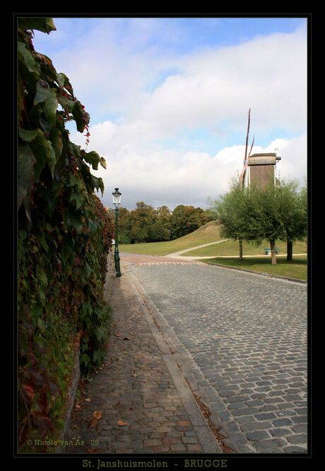 Brugge VI