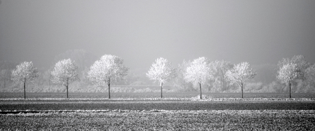 Witte wereld