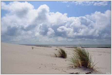 Ameland