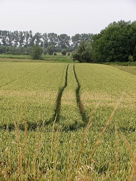 Het spoor bijster ?