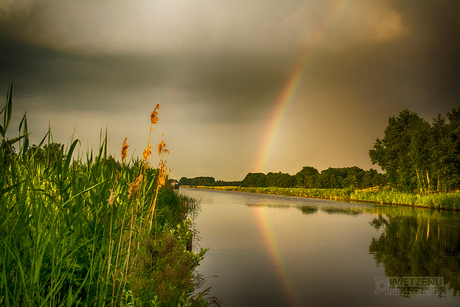 Regenboog