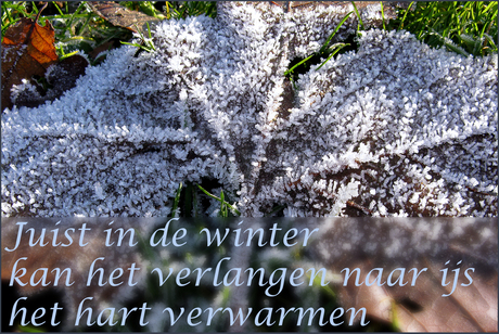 Winterwarmte