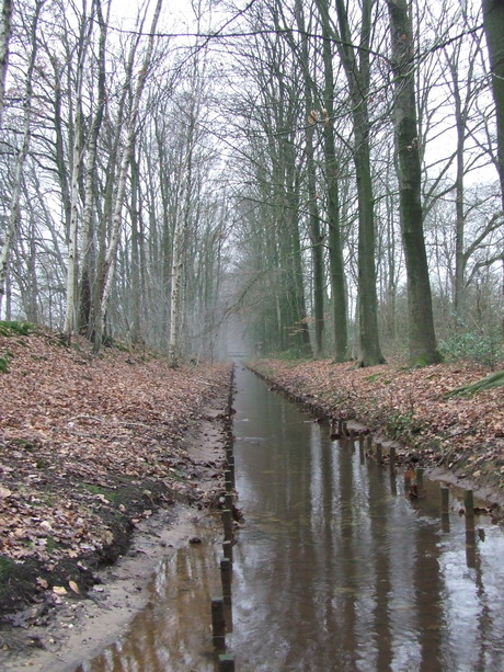 De Kayersbeek in de winter