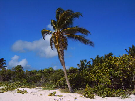 Tulum Mexico