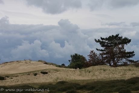 IMG_4952_Landerummerheide met bijzondere luchten.jpg