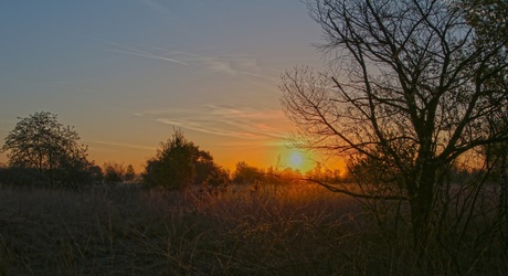 Zonsopkomst in de Grote Peel