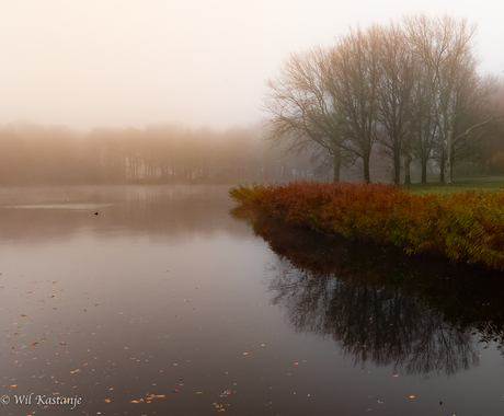 Herfst