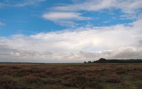 Eindeloze Veluwe 11