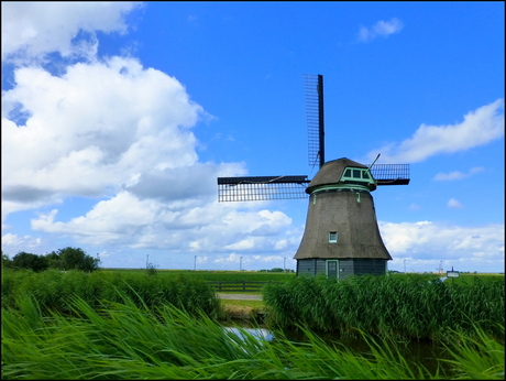 Hollands Landschap