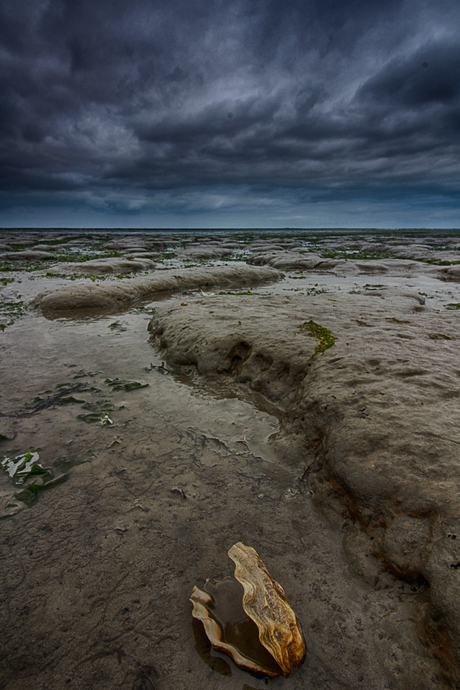 waddenfoto