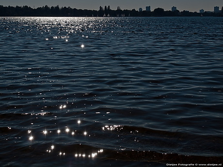 Zoetermeerse plas