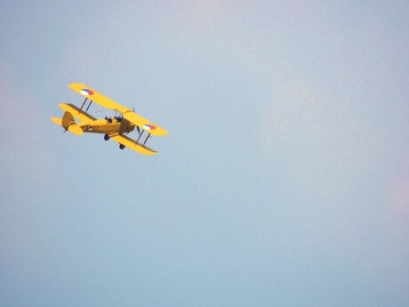 Tiger Moth