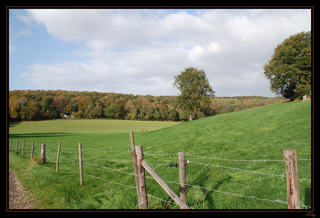 Herfstkleuren