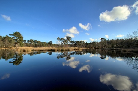 Hatertse vennen