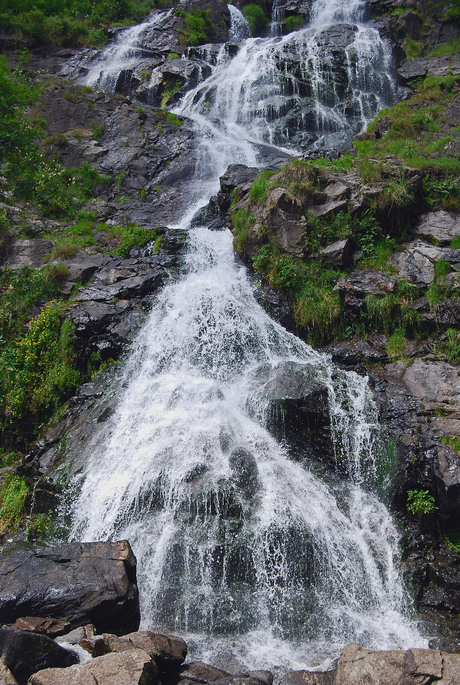 Todnauer Wasserfall