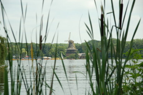 Molen Kralingse bos