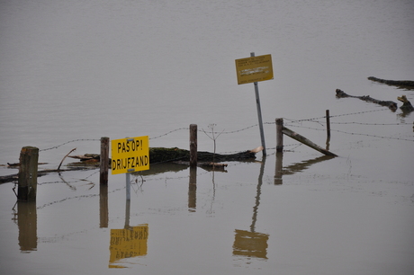 Hoogwaterbeeld uiterwaarden Driel