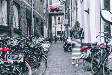 stripes and bikes