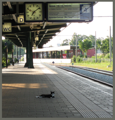 Wachten op de trein