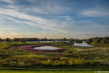 Landschap in Millingerwaard