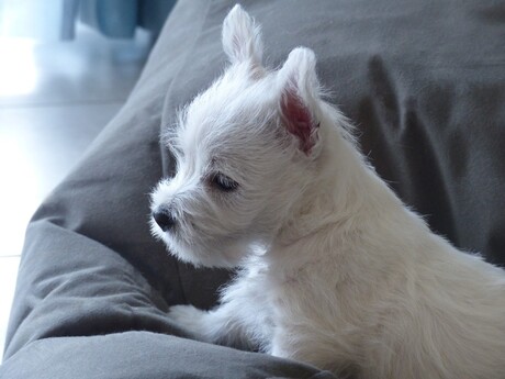 Almost ready for the big wide world...