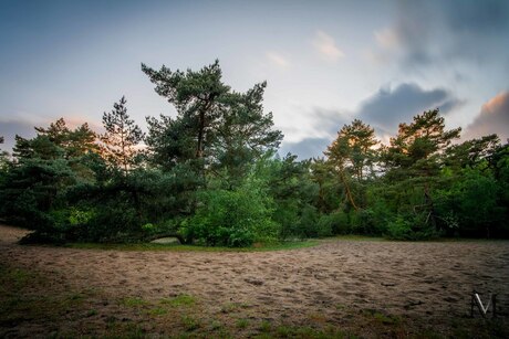 Zandplek op de veluwe