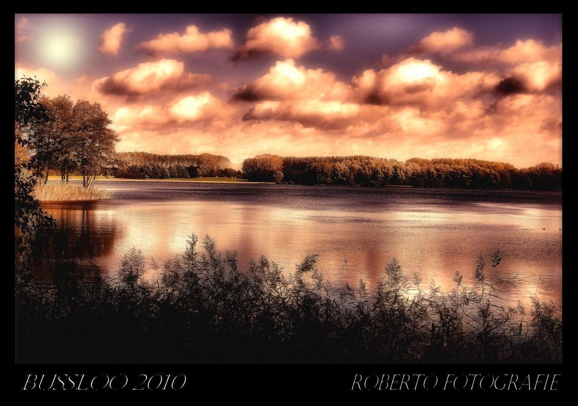 bussloo 2010 - gewoon een super mooie dag 
om met je camera op stap te gaan 
en deze foto is het geworden om te plaatsen 
mvg roberto - foto door roberto1971 op 22-10-2010 - deze foto bevat: n, zo