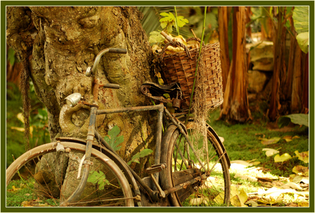 Oude fiets...