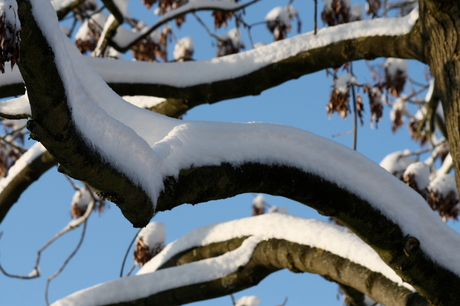 tak met sneeuw