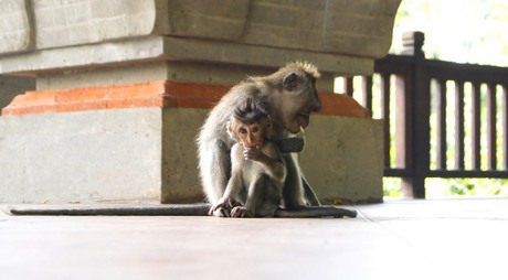 Mother and baby, Bali