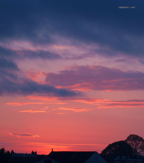 Purple, Pink and Blue