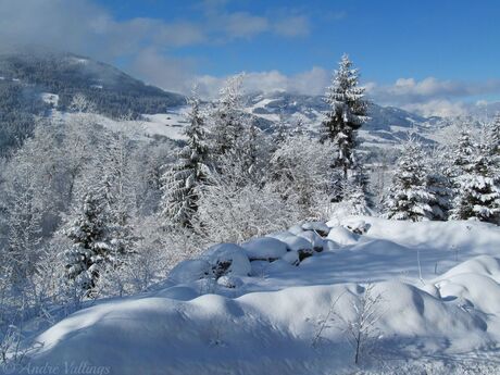 Winterlandschap