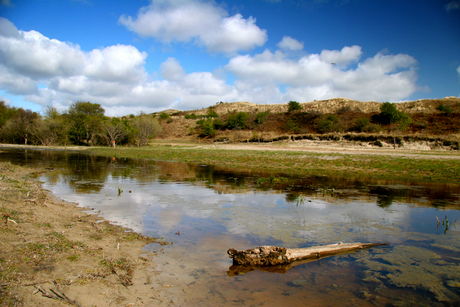 Texel