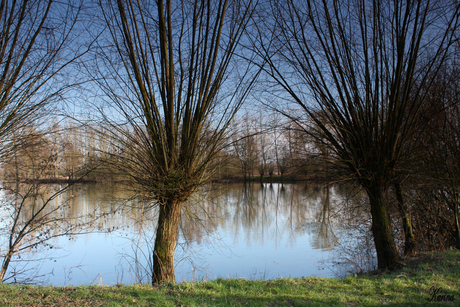 Vierkenshoek