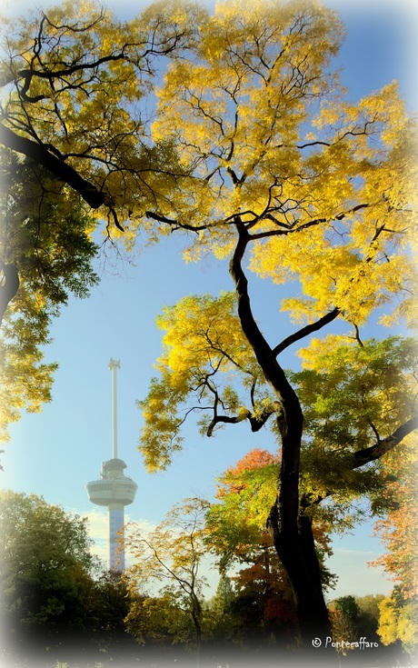 Euromast gezien vanuit Het Park