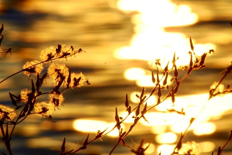 zonsondergang Garda meer