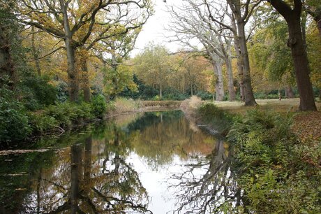 herfst '15. Berkenbos