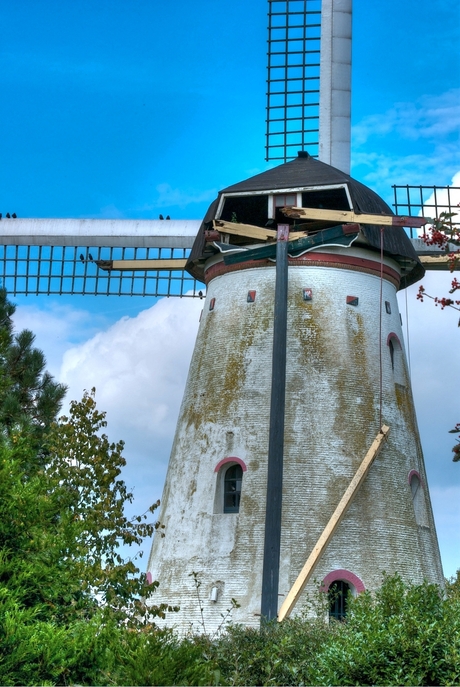 Molen Reek achterkant