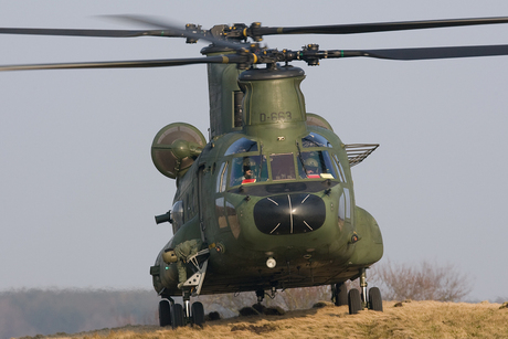 Chinook RNLAF