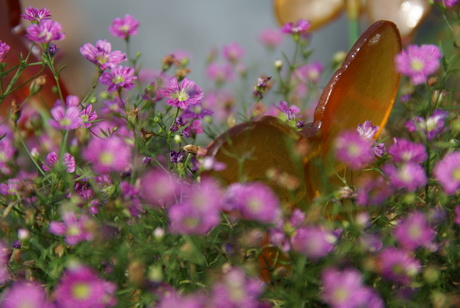 Flowers 1