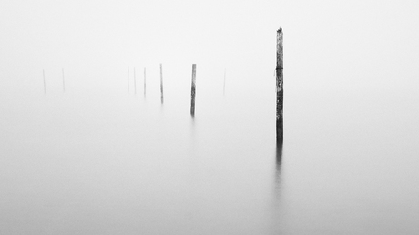 Palen visnetten IJsselmeer