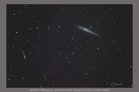 NGC4631 - Het Walvissterrenstelsel