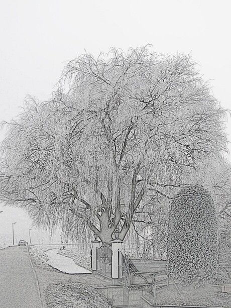 POTLOODSCHETS WINTERSE BOMEN