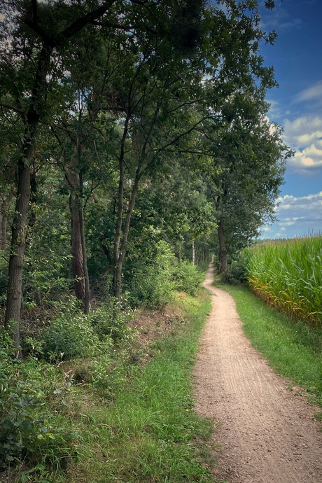 De Bergvennen1 (Twente)