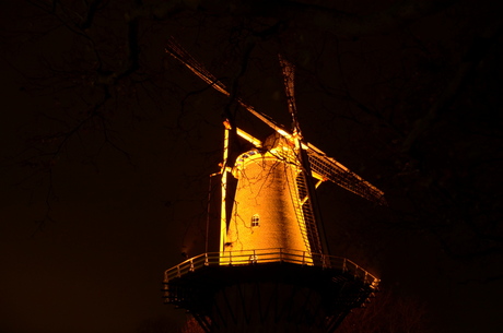 De Molen in Buren (GLD)