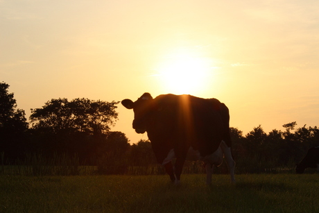 Zonsondergang NFW