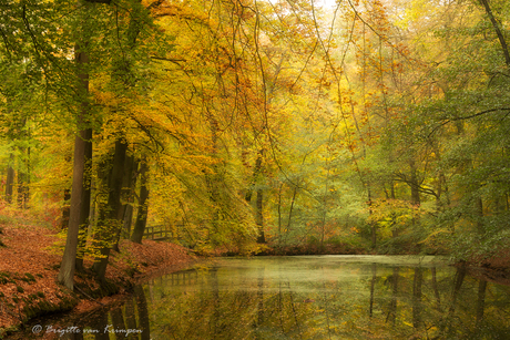 on Golden Pond