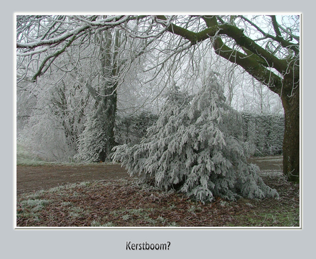 winterlandschap