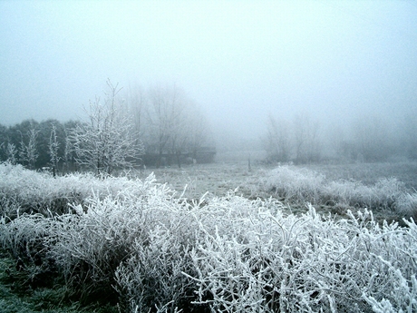 In de Mist